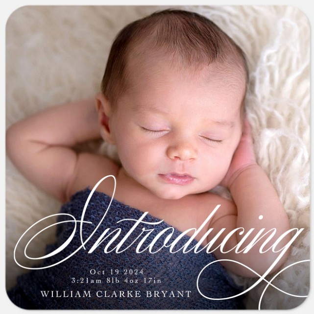 Flourished Introduction Baby Birth Announcements
