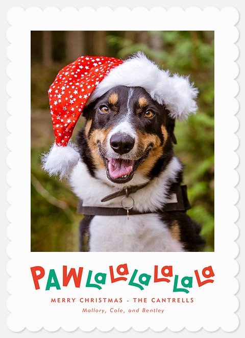 Paw La La  Holiday Photo Cards