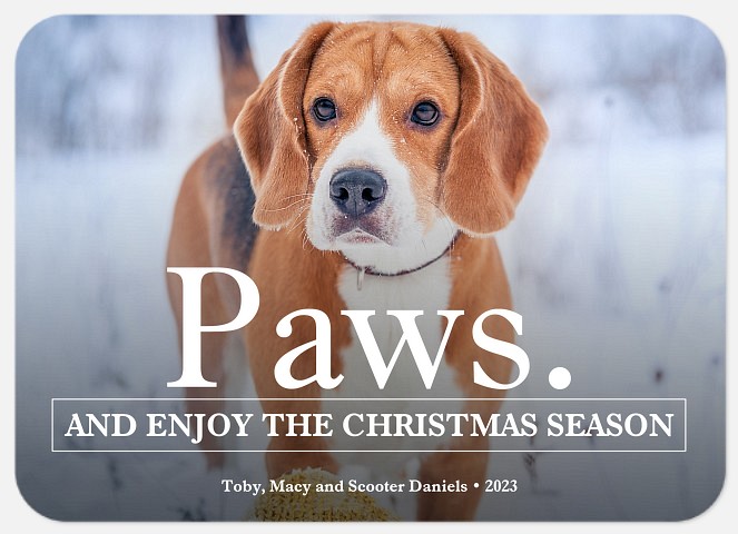 Paws & Enjoy From the Pet Holiday Cards