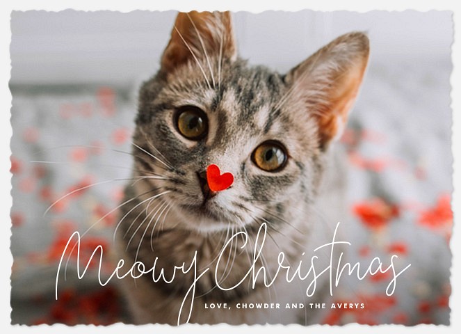 Simply Meowy Holiday Photo Cards