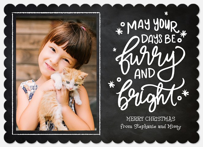 Furry and Bright Holiday Photo Cards
