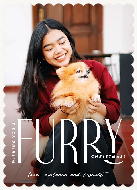 Furry Christmas Personalized Holiday Cards