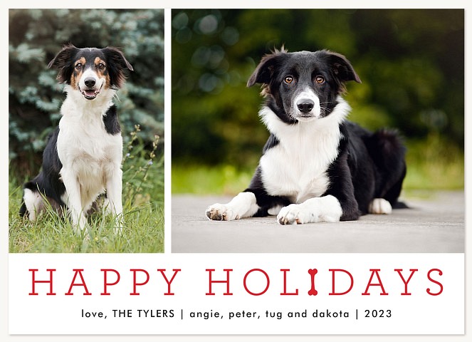 Cheerful Bone Personalized Holiday Cards