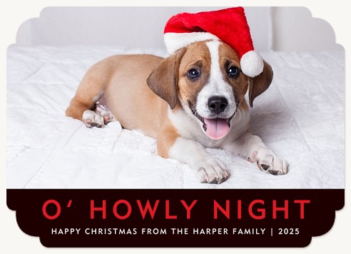 Howly Night Christmas Cards