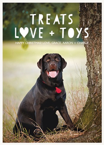 Playful Spirit Christmas Cards