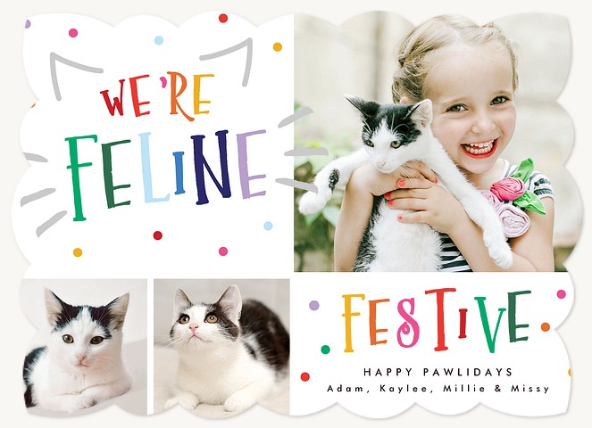 Feline Festive Personalized Holiday Cards