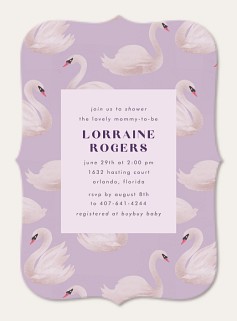 Lavender Swans