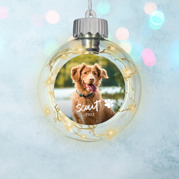 Pet Name Personalized Ornaments