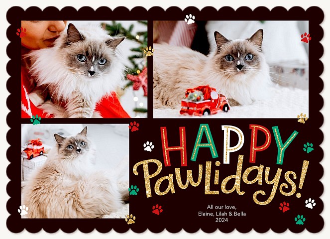 Pawliday Wishes Personalized Holiday Cards