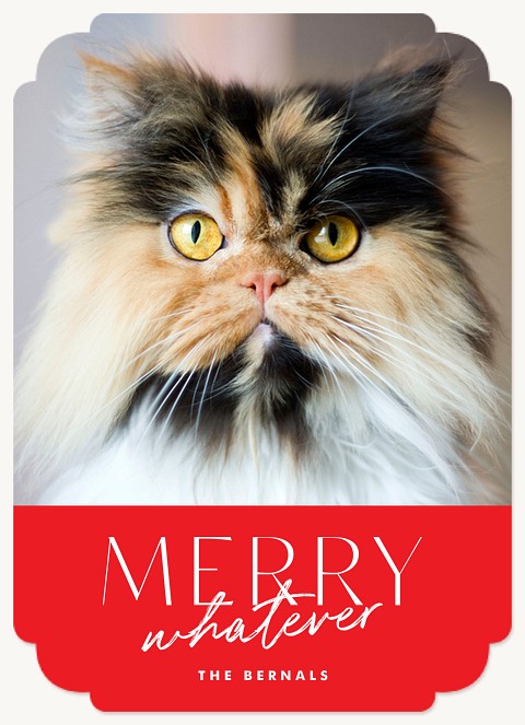 Merry Whatever Personalized Holiday Cards