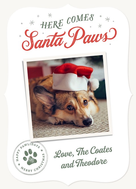 Paw Stamp Personalized Holiday Cards