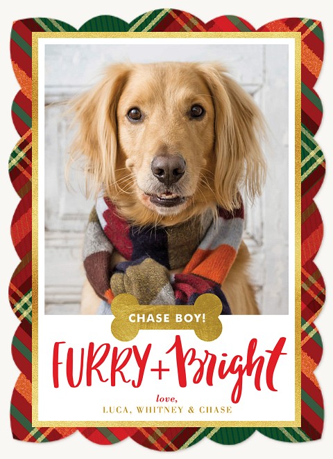Furry & Bright Christmas Cards