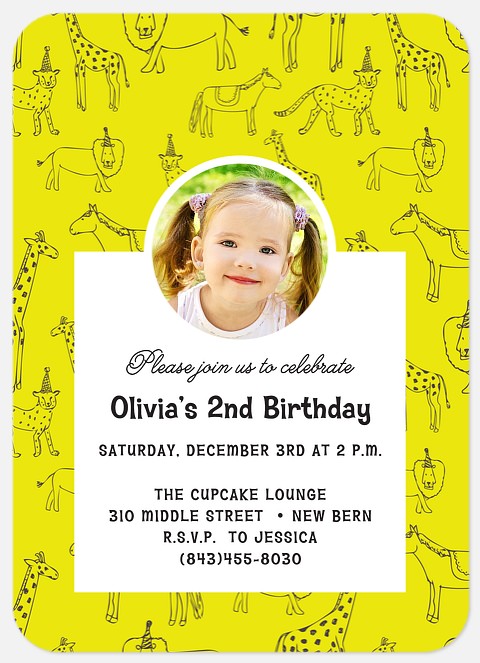 Animal Doodles Kids' Birthday Invitations