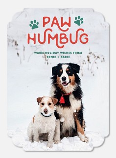 Paw Humbug