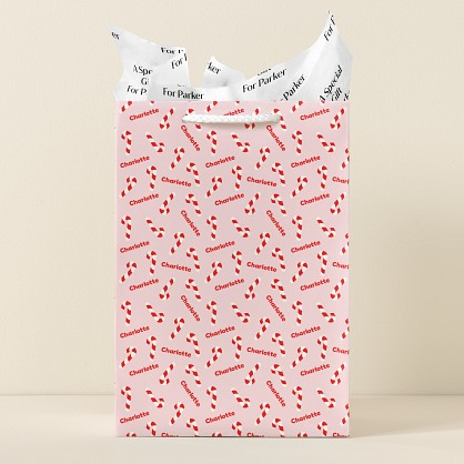 Candy Cane Dreams Gift Bag